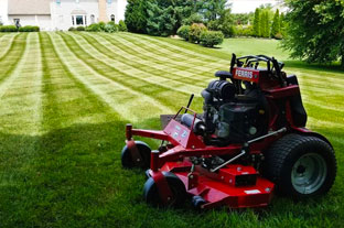 Seasonal Lawn Mowing