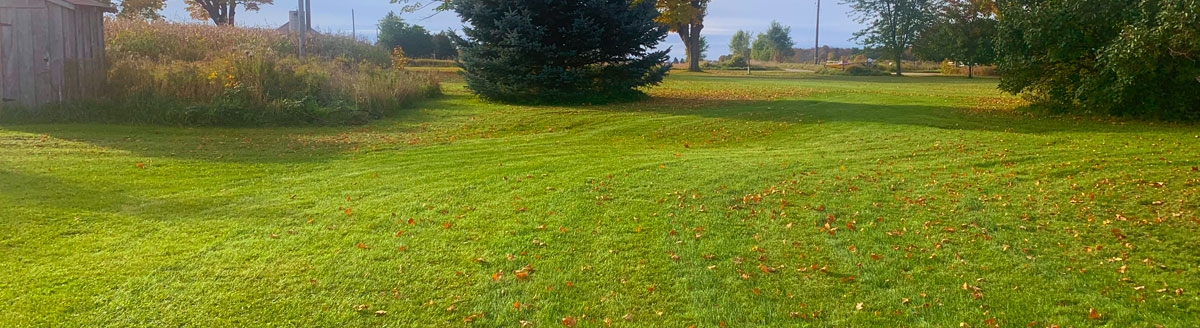 Picture of a lawn mowed